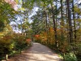 Korea National Arboretum (KNA), image of landscape/habitat.