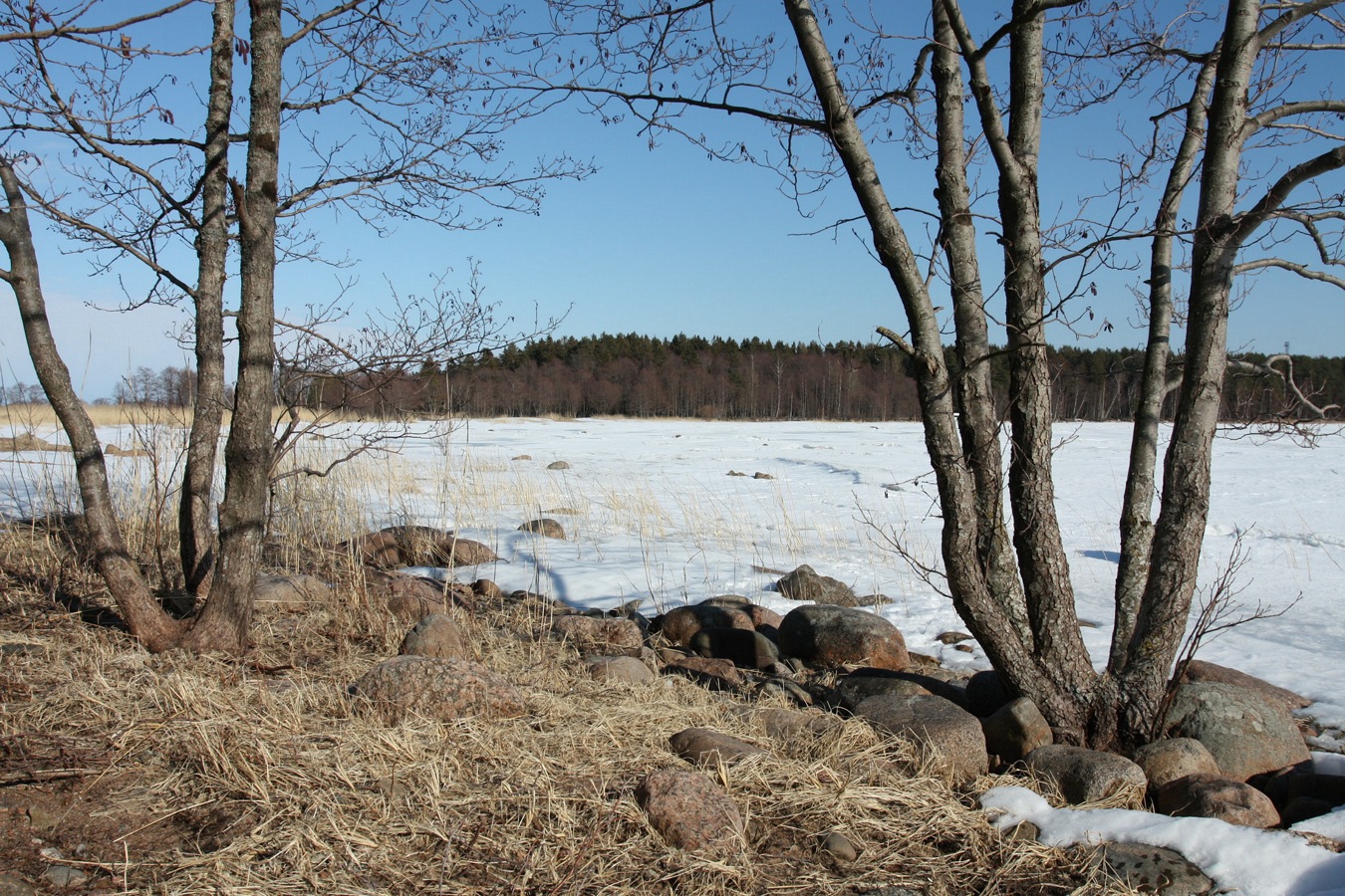 Шепелёвский маяк, image of landscape/habitat.