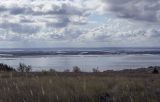 Окрестности села Красный Бор, image of landscape/habitat.