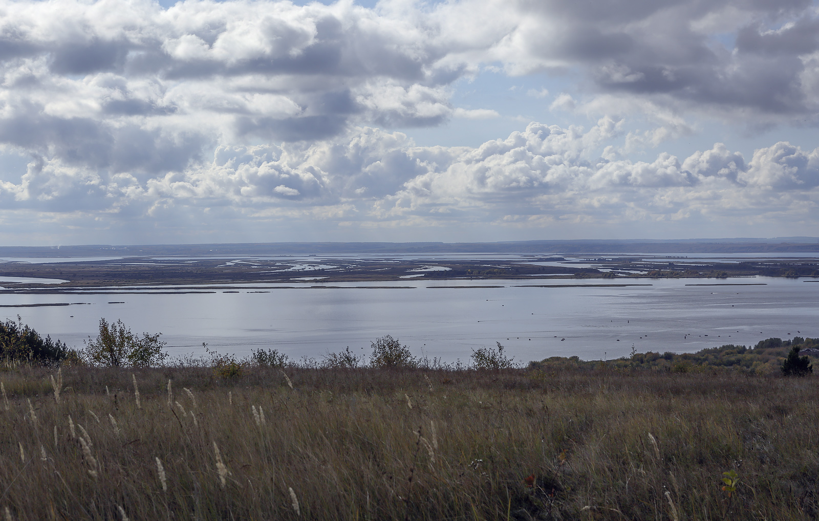 Окрестности села Красный Бор, image of landscape/habitat.