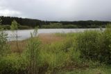 Бас-остров, image of landscape/habitat.