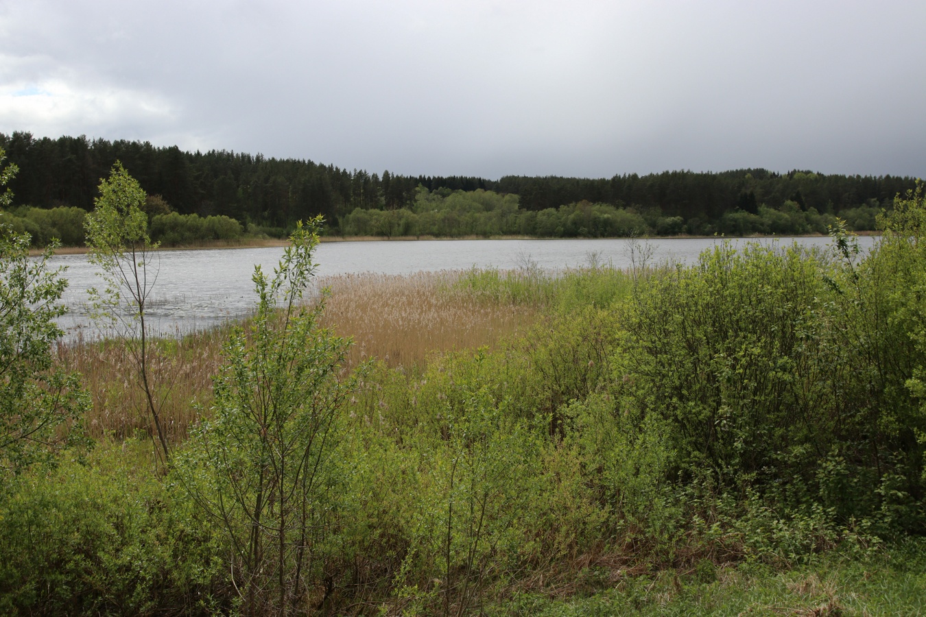 Бас-остров, image of landscape/habitat.
