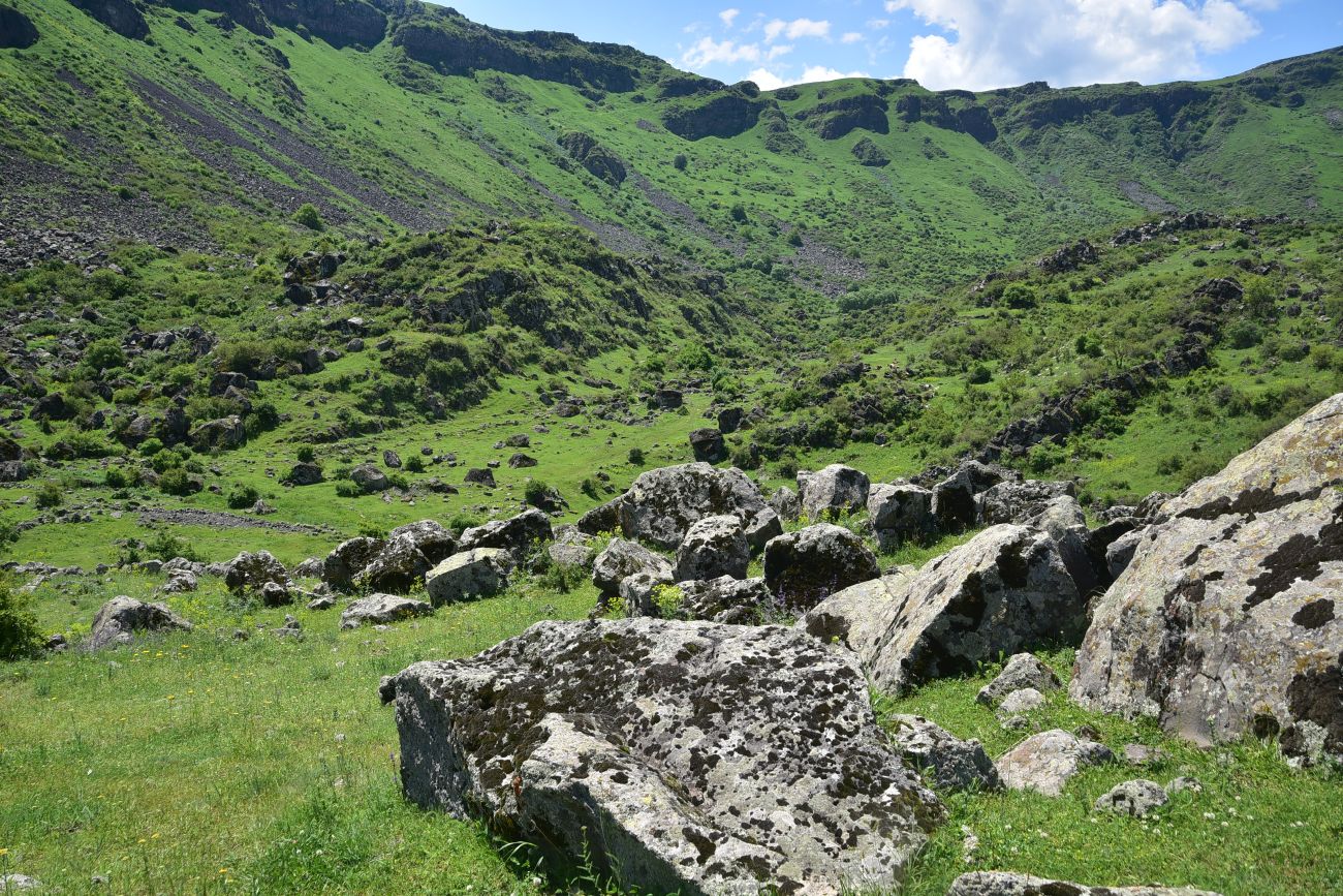 Урочище Бертахана, image of landscape/habitat.