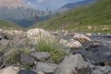 Image of landscape