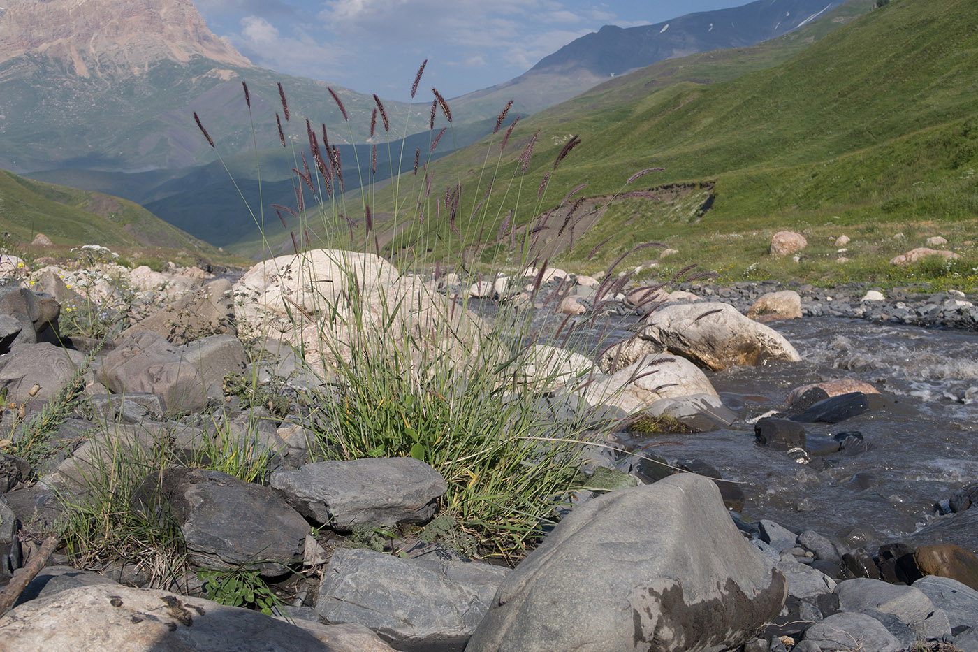 Чехычай, image of landscape/habitat.