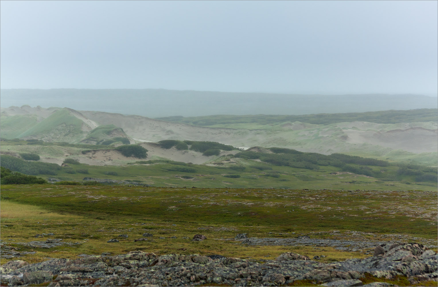 Долина реки Пяйва, image of landscape/habitat.