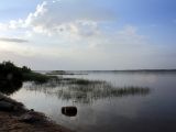 Image of landscape