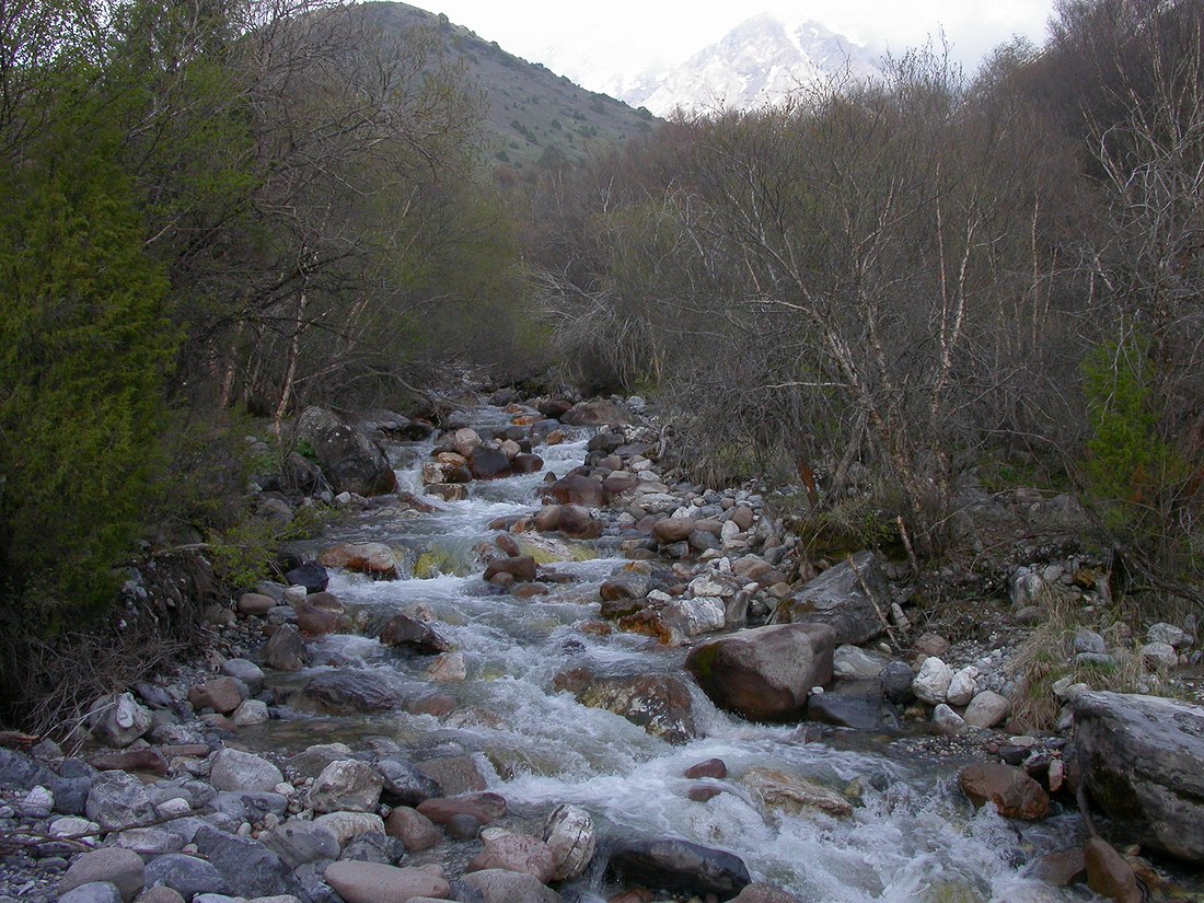 Сазаната, image of landscape/habitat.