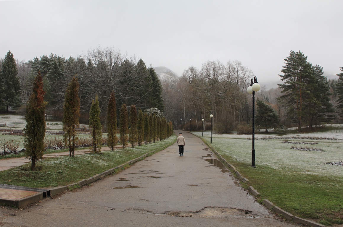 Курортный парк, image of landscape/habitat.