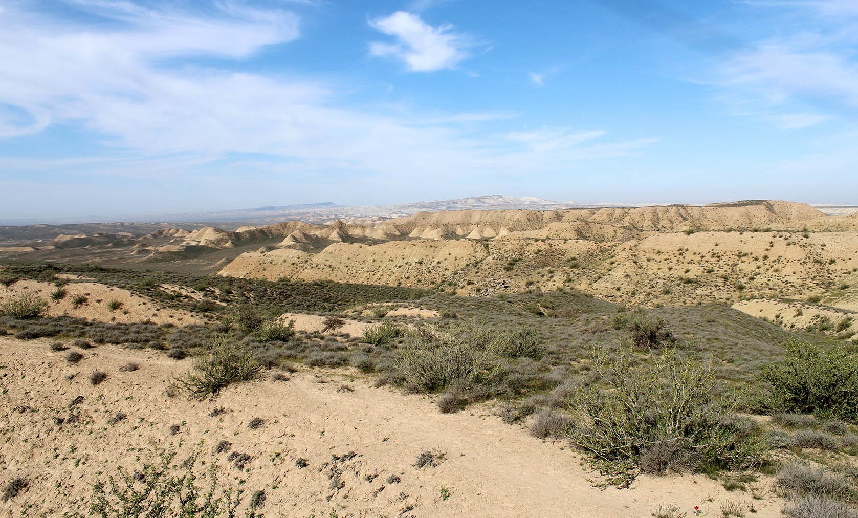 Акгая, image of landscape/habitat.