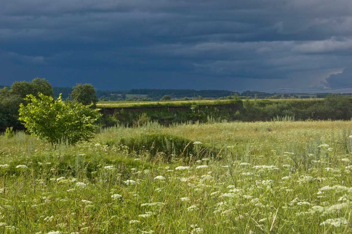 Окрестности урочища Кокуй, image of landscape/habitat.