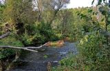 Долина реки Большая Смедова, image of landscape/habitat.