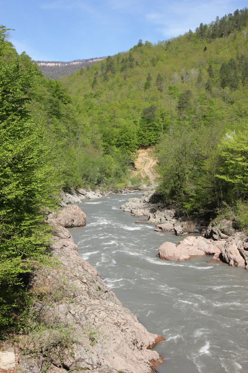 Устье ручья Сибирь и окрестности, image of landscape/habitat.