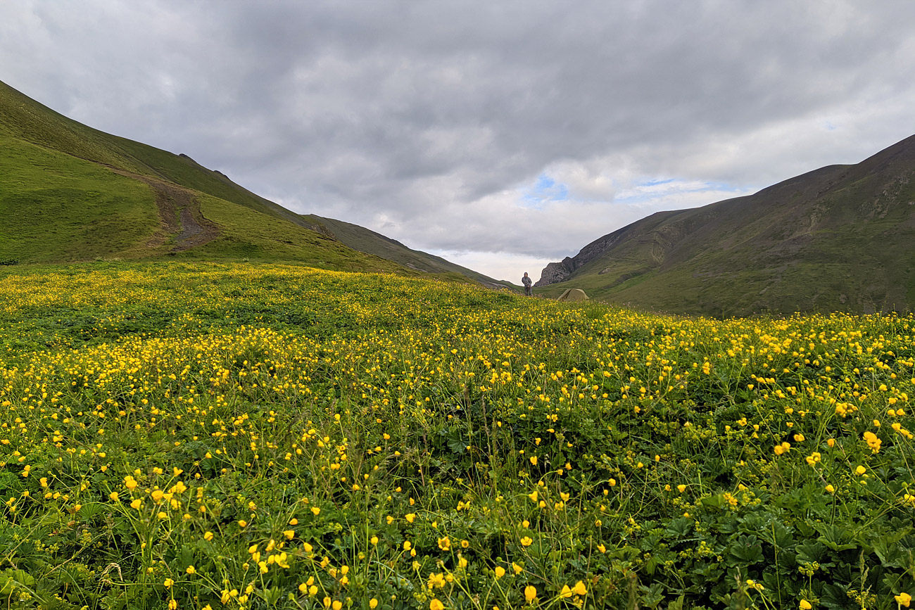 Долина реки Сардидон, image of landscape/habitat.