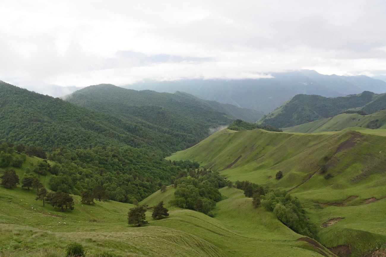 Окрестности урочища Мухул, image of landscape/habitat.