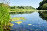 Окрестности деревни Комарово, image of landscape/habitat.