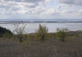Image of landscape