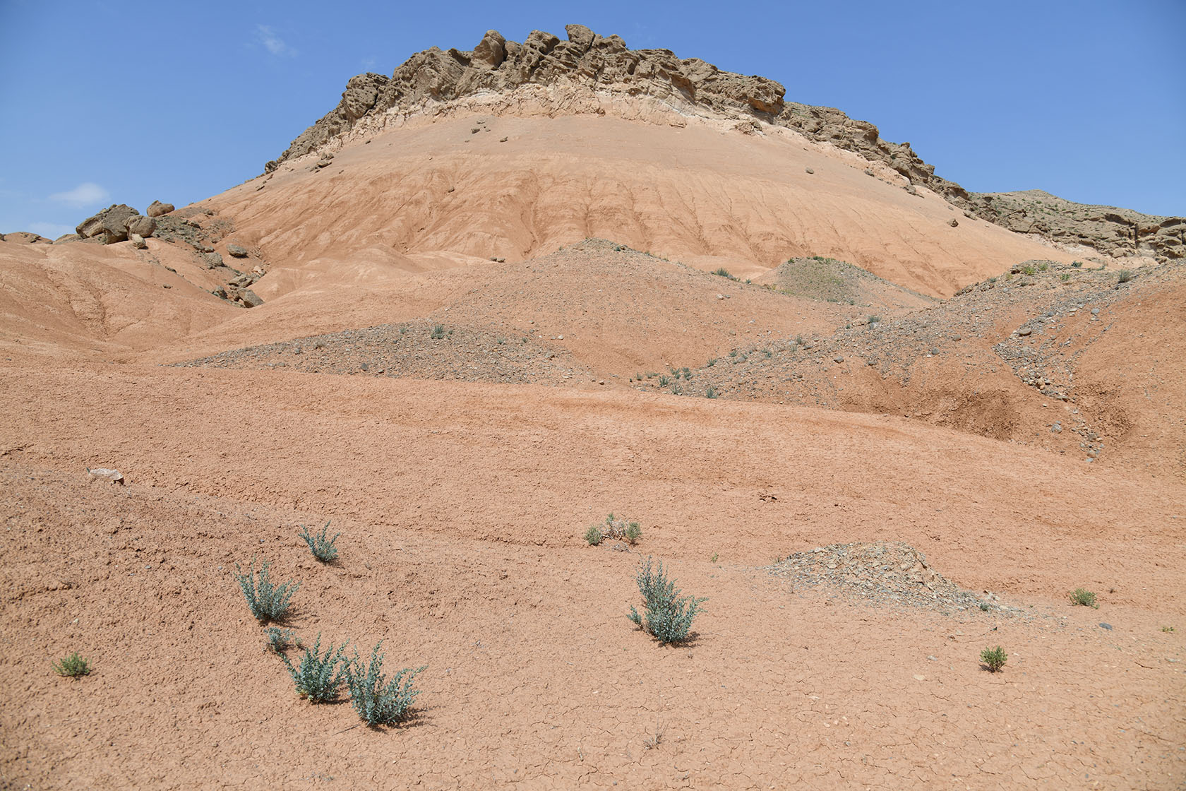 Исфара, image of landscape/habitat.