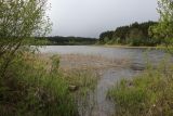 Бас-остров, image of landscape/habitat.