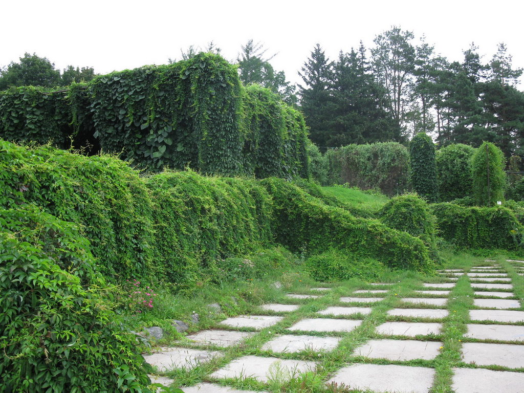 Ботсад им. Гришко, image of landscape/habitat.