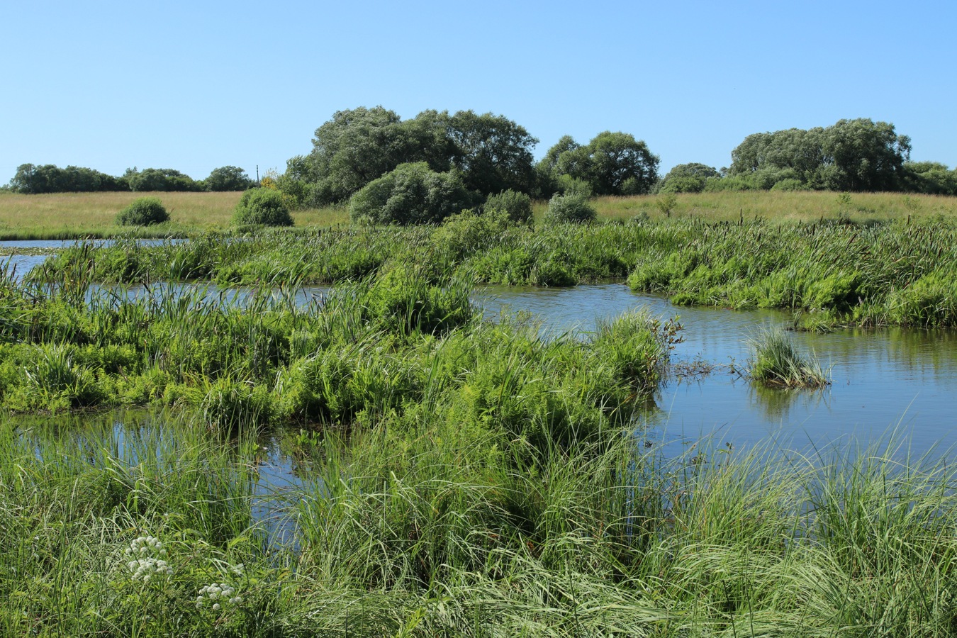 Местечко и окрестности, image of landscape/habitat.