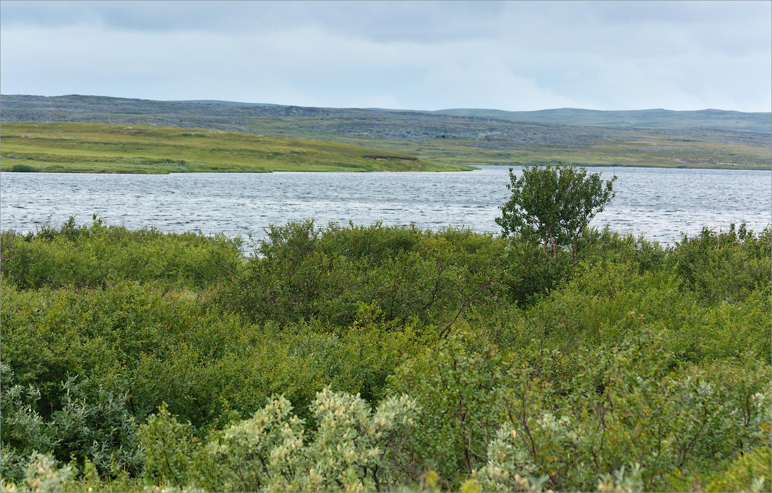 Долина реки Пяйва, image of landscape/habitat.