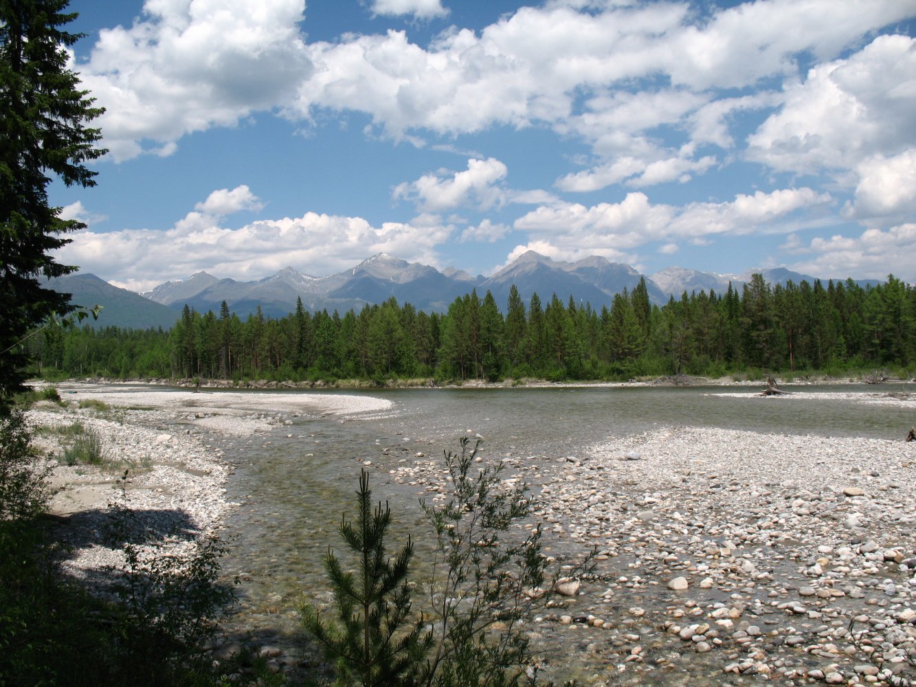 Иркут у деревни Мойготы, image of landscape/habitat.