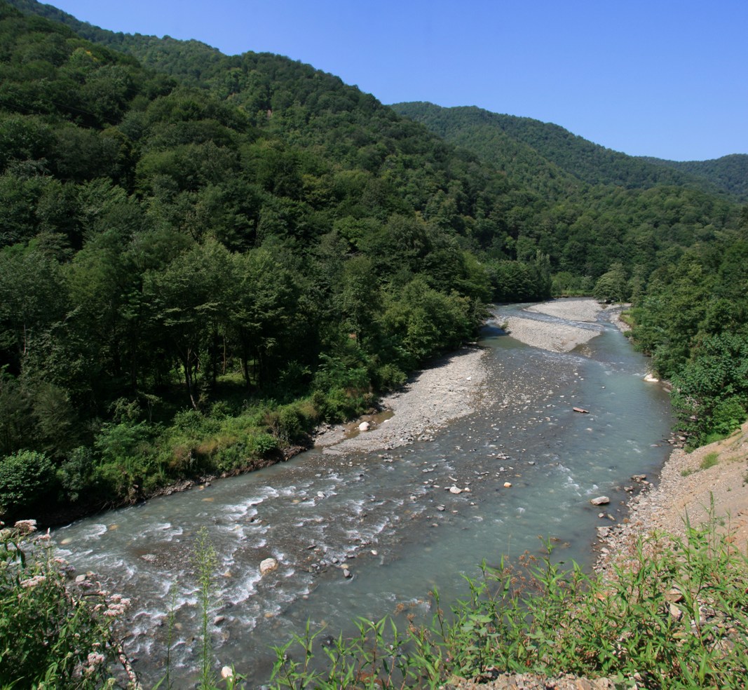 Гумиста, image of landscape/habitat.