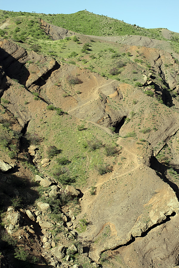 Ущелье Ходжигалтон, image of landscape/habitat.