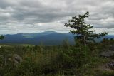 Серебрянский камень, image of landscape/habitat.