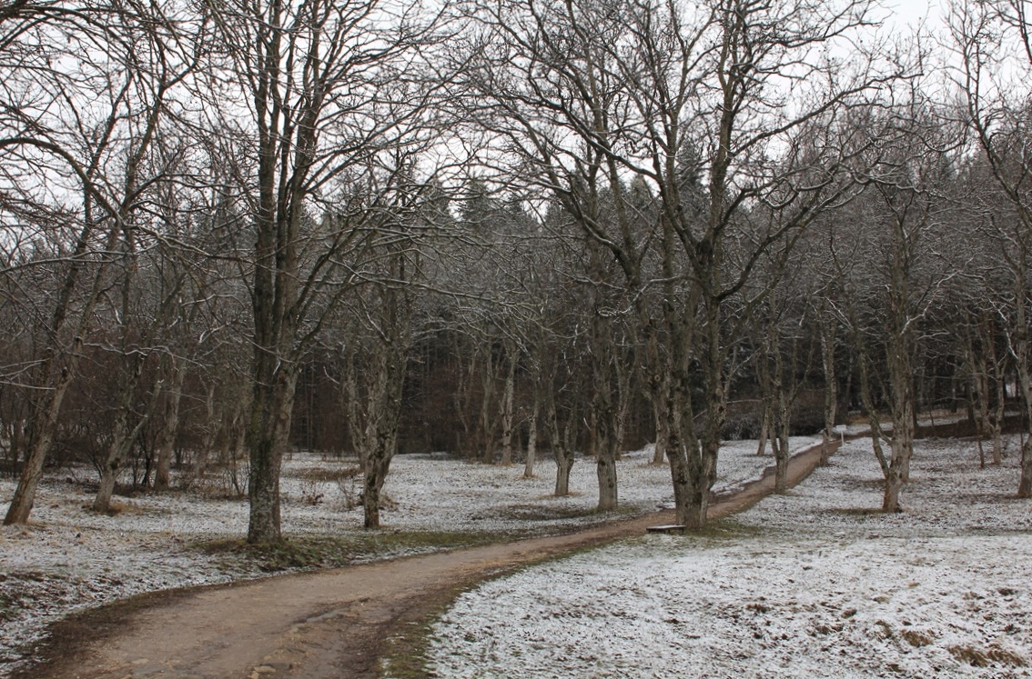 Курортный парк, image of landscape/habitat.