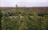 Большой Соловецкий остров, image of landscape/habitat.