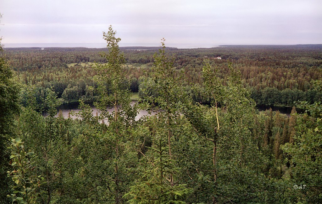 Большой Соловецкий остров, изображение ландшафта.