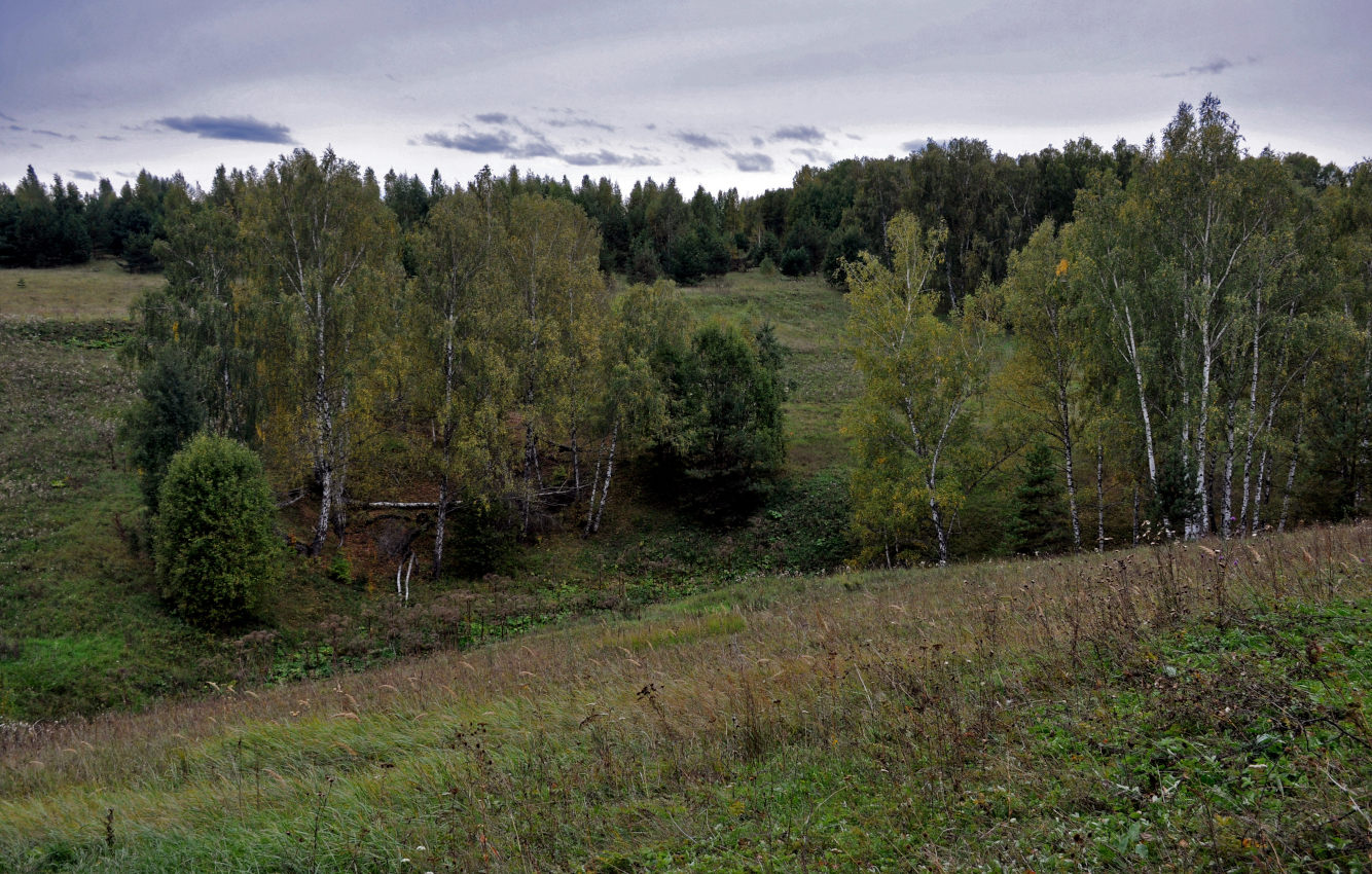 Долина реки Большая Смедова, image of landscape/habitat.