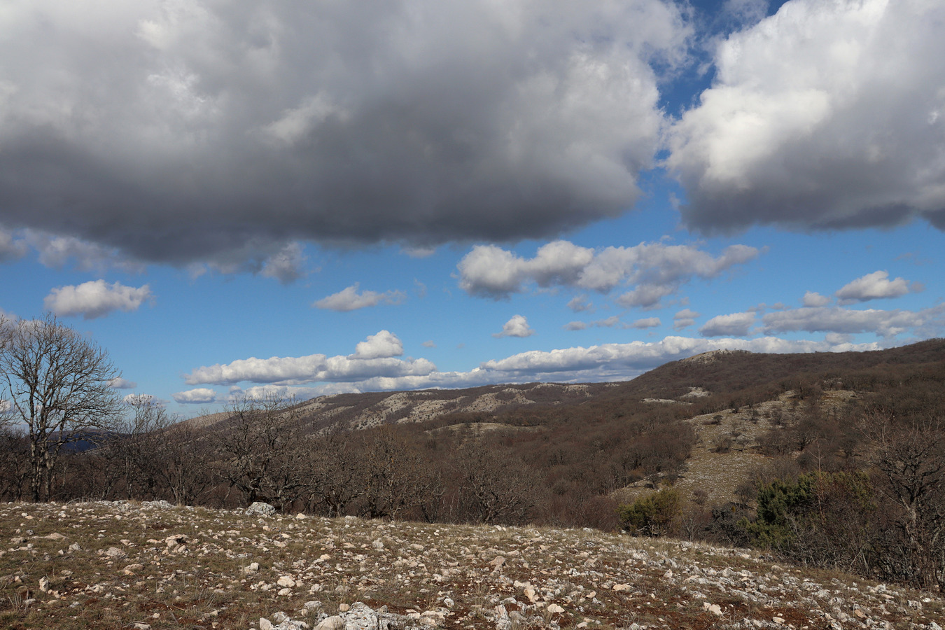 Ай-Петринская яйла, image of landscape/habitat.