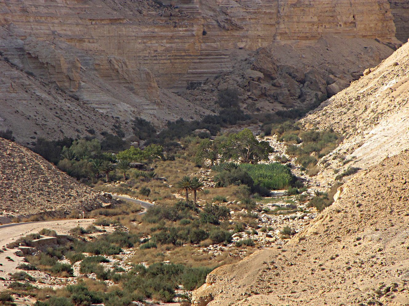 Эйн-Авдат, image of landscape/habitat.