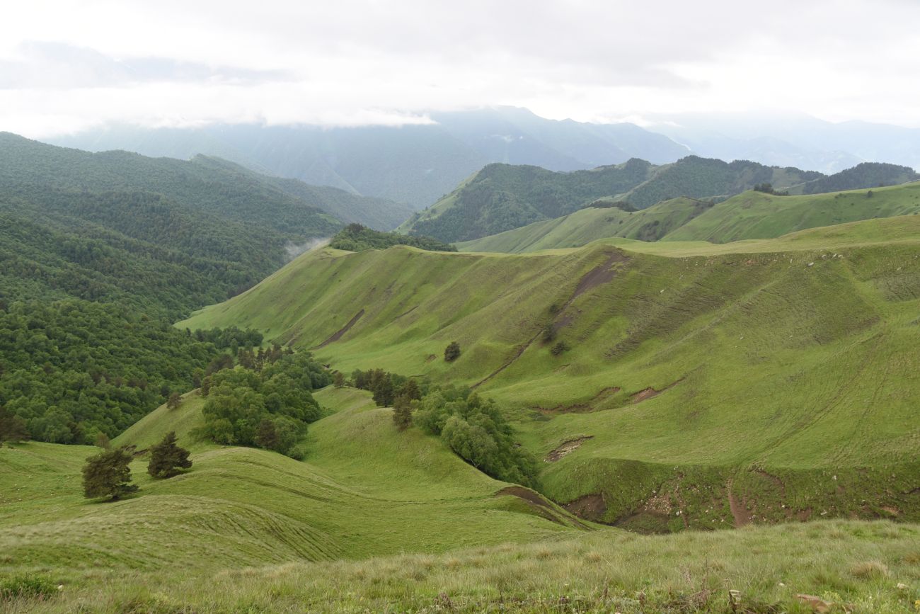Окрестности урочища Мухул, image of landscape/habitat.