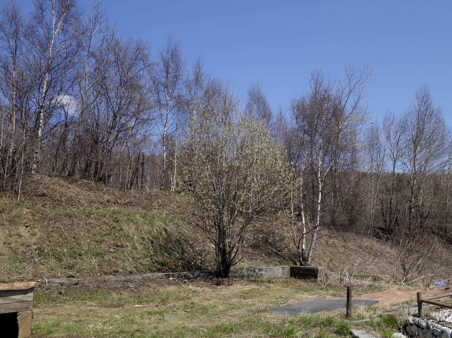 Култук, image of landscape/habitat.