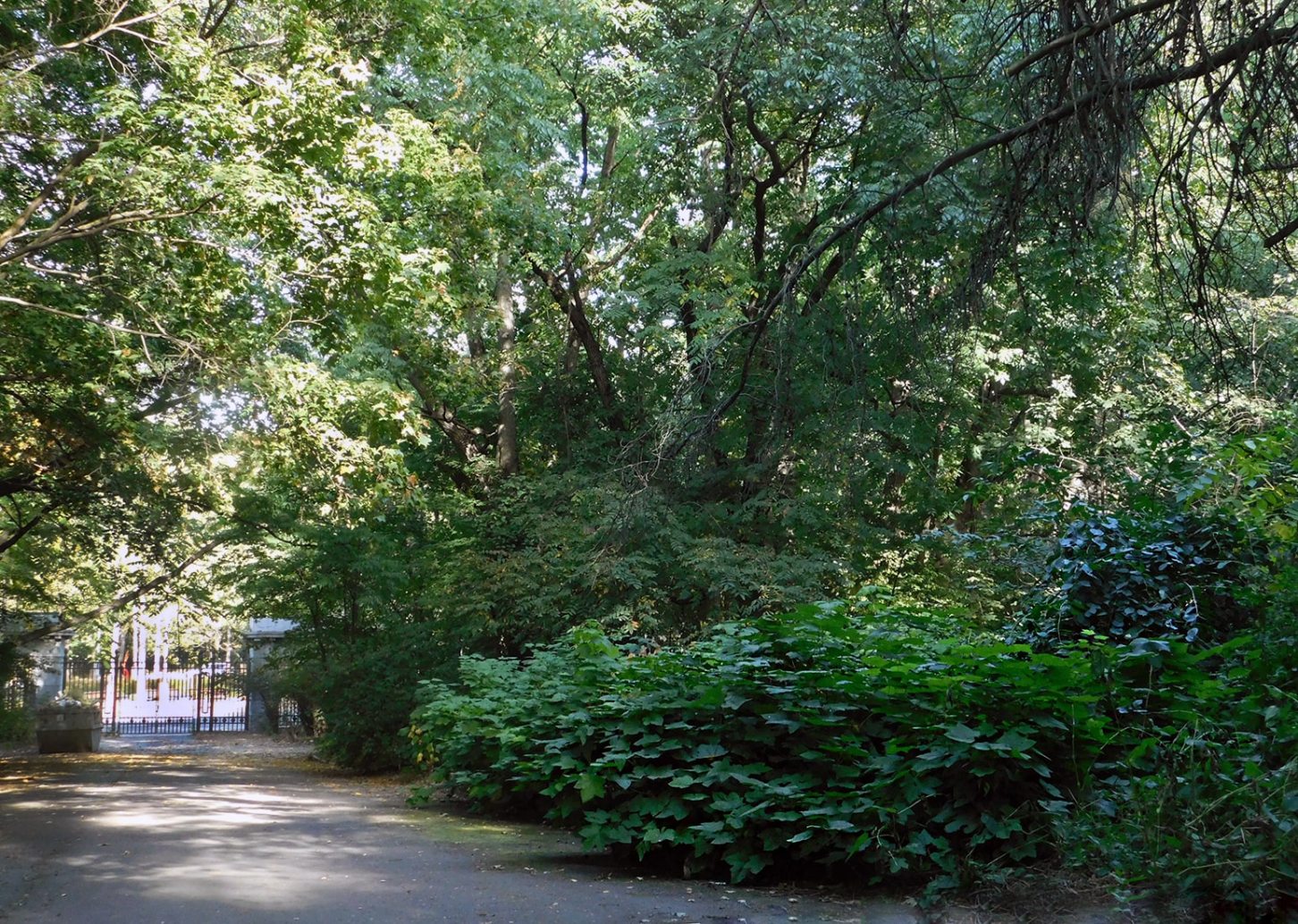 Ботанический Сад МГУ, image of landscape/habitat.