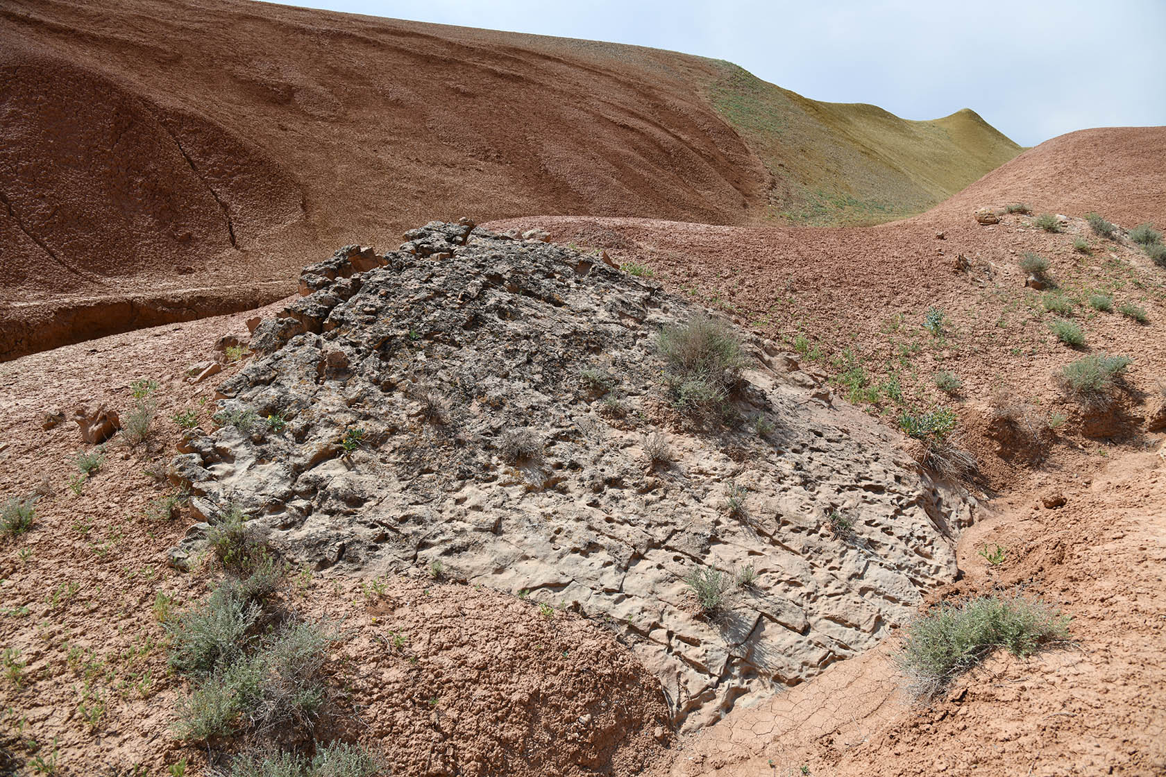 Исфара, image of landscape/habitat.