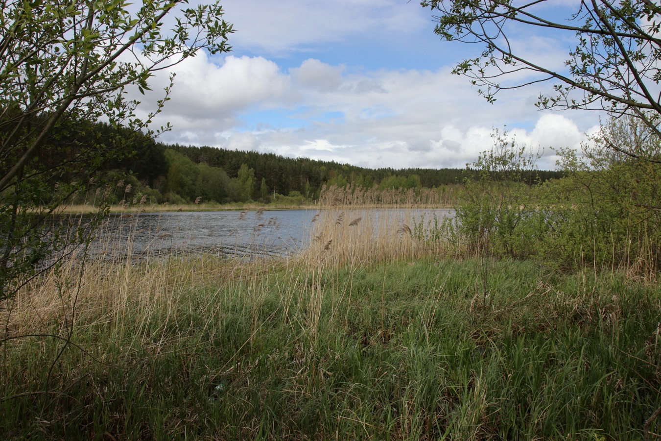 Бас-остров, image of landscape/habitat.