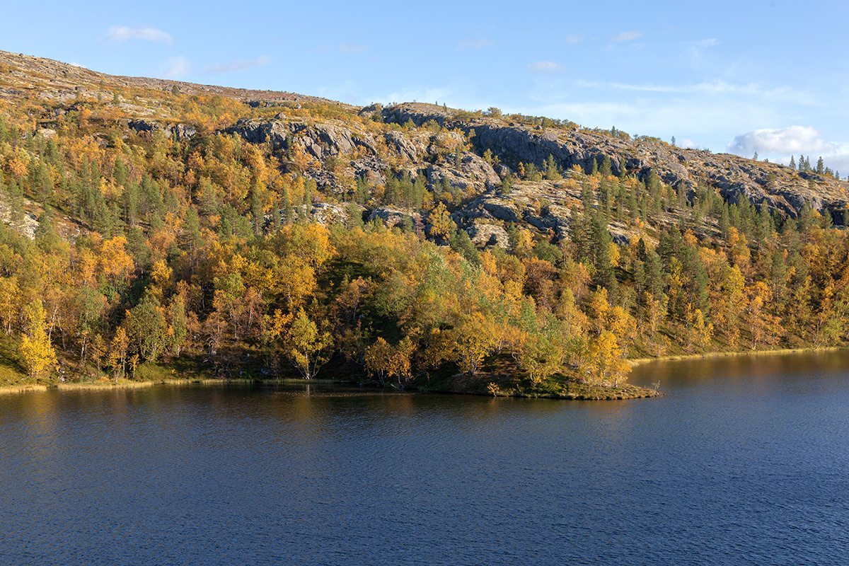 Река Ура, image of landscape/habitat.