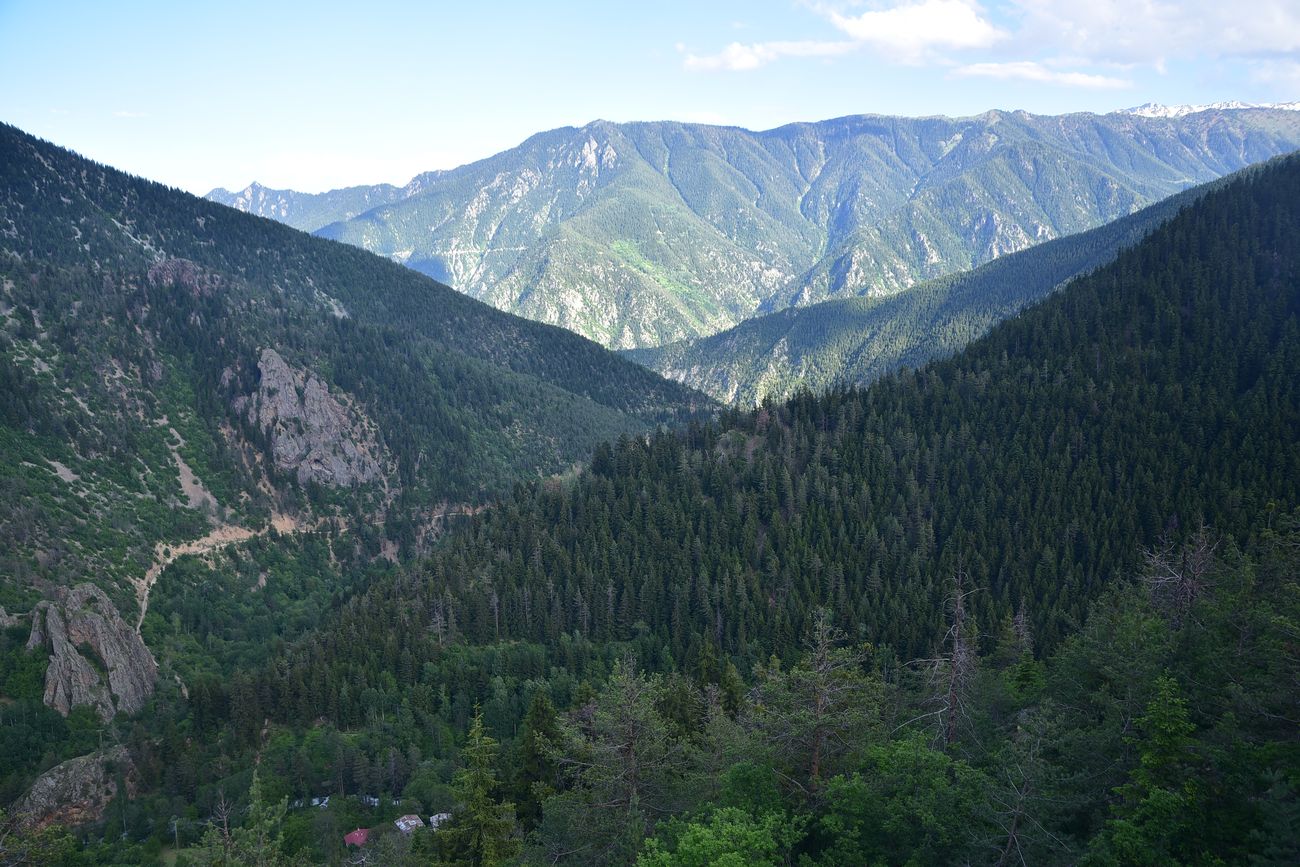 Выше Гюльпынар, image of landscape/habitat.