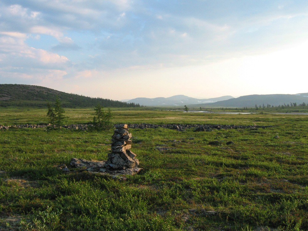 Большая Лагорта, image of landscape/habitat.