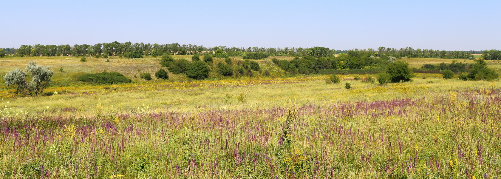 Балка Быкодорова, image of landscape/habitat.