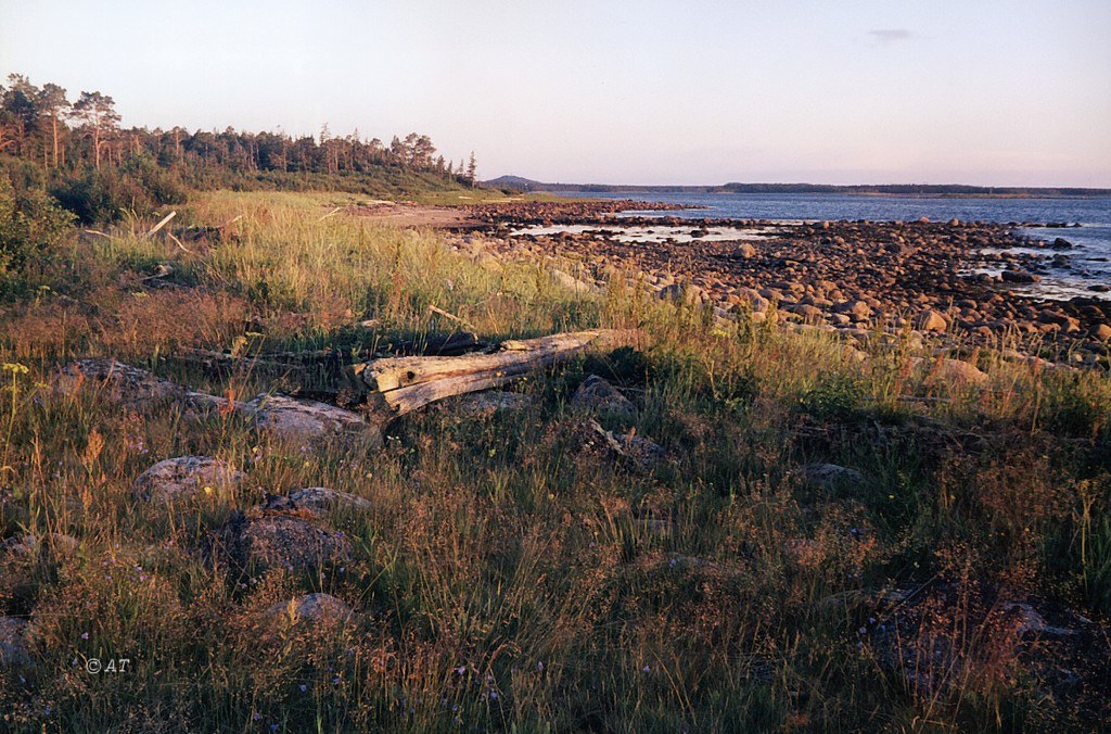 Большой Соловецкий остров, image of landscape/habitat.