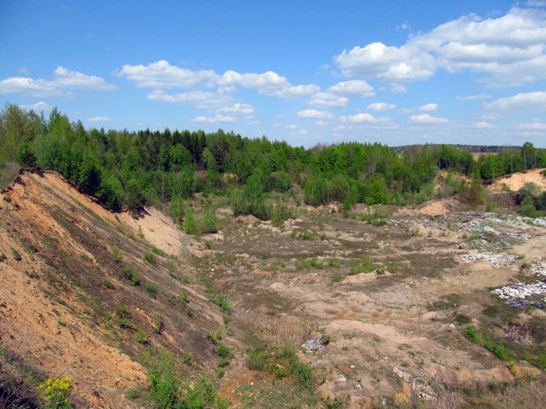 Песчаный карьер, image of landscape/habitat.