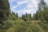 Image of landscape