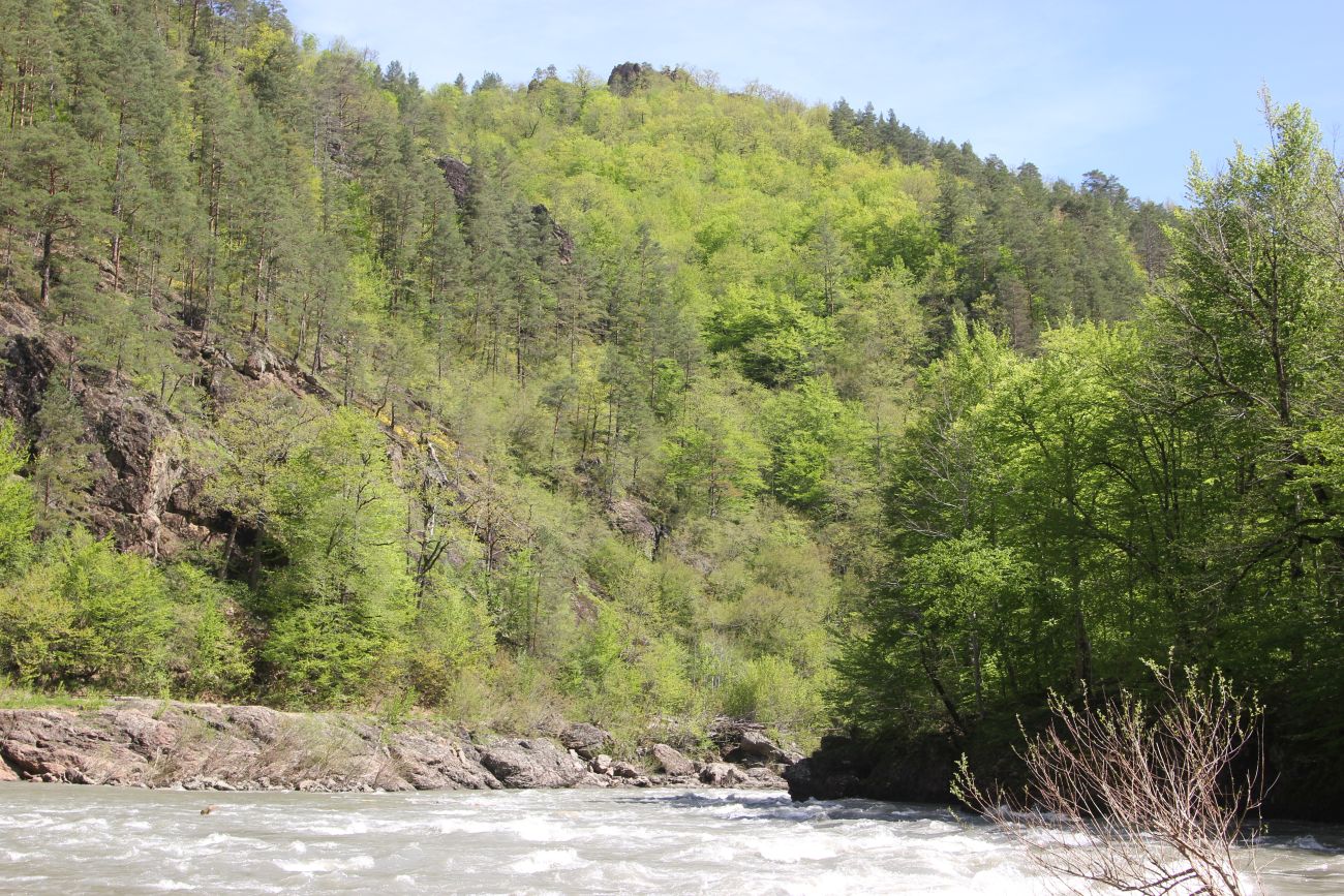 Гранитный каньон реки Белая, image of landscape/habitat.