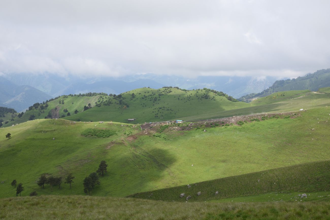 Окрестности урочища Мухул, image of landscape/habitat.
